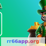 rr66 - Política de Cookies: Guia Completo Article Image 1